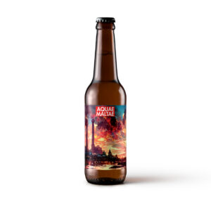 en_ville_schwarzbier_brune_aquaemaltae